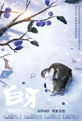 亚洲精品专区